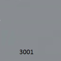 3001
